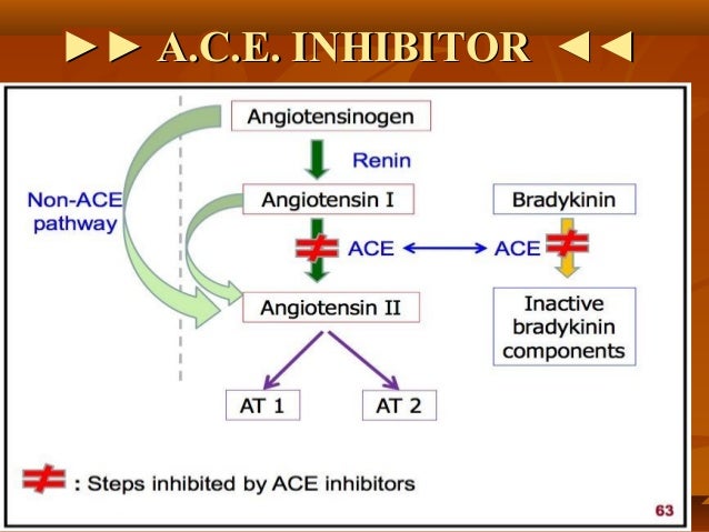 what drugs have ace inhibitors