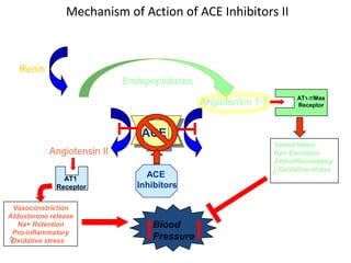 Angiotensinogen
Renin
Angiotensin I
(Inactive)
Angiotensin II
AT1
Receptor
Blood
Pressure
Endopeptidases
Angiotensin 1-7 AT1-7/Mas
Receptor
Angiotensin 1-5
(Inactive)
ACE
ACE
Inhibitors
Mechanism of Action of ACE Inhibitors II
Vasodilation
Na+ Excretion
Anti-inflammatory
Oxidative stress
Vasoconstriction
Aldosterone release
Na+ Retention
Pro-inflammatory
Oxidative stress
 