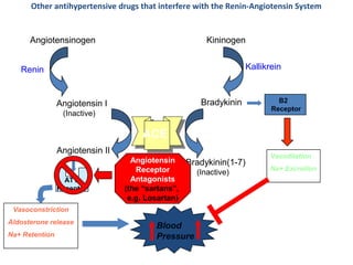 ACE
KininogenAngiotensinogen
Renin Kallikrein
Angiotensin I
(Inactive)
Bradykinin B2
Receptor
AT1
Receptor
Angiotensin II
Vasoconstriction
Aldosterone release
Na+ Retention
Bradykinin(1-7)
(Inactive)
Blood
Pressure
Angiotensin
Receptor
Antagonists
(the “sartans”,
e.g. Losartan)
Vasodilation
Na+ Excretion
Other antihypertensive drugs that interfere with the Renin-Angiotensin System
 