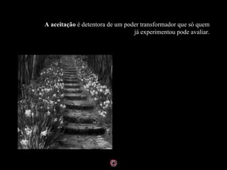 A aceitação  é detentora de um poder transformador que só quem já experimentou pode avaliar. 