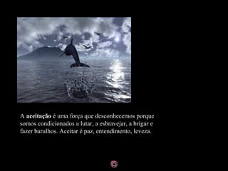 A aceitação é uma força que desconhecemos porque
somos condicionados a lutar, a esbravejar, a brigar e
fazer barulhos. Aceitar é paz, entendimento, leveza.
 