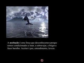 A  aceitação  é uma força que desconhecemos porque somos condicionados a lutar, a esbravejar, a brigar e fazer barulho. Aceitar é paz, entendimento, leveza. 