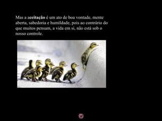 Mas a a ceitação  é um ato de boa vontade, mente aberta, sabedoria e humildade, pois ao contrário do que muitos pensam, a vida em si, não está sob o nosso controle. 