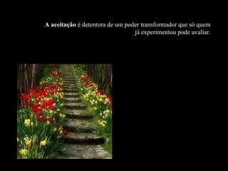 A aceitação  é detentora de um poder transformador que só quem já experimentou pode avaliar. 