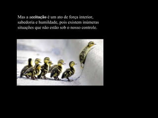 Mas a a ceitação  é um ato de força interior, sabedoria e humildade, pois existem inúmeras situações que não estão sob o nosso controle. 