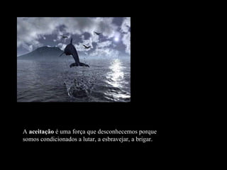 A  aceitação  é uma força que desconhecemos porque somos condicionados a lutar, a esbravejar, a brigar. 
