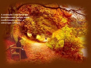 A aceitação é uma força que desconhecemos porque somos condicionados a lutar, a esbravejar, a brigar. 