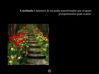 A aceitação é detentora de um poder transformador que só quem
já experimentou pode avaliar.
 