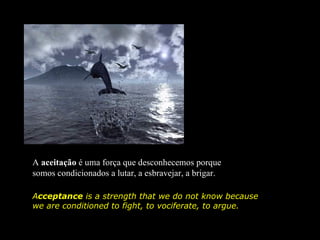 A aceitação é uma força que desconhecemos porque
somos condicionados a lutar, a esbravejar, a brigar.

Acceptance is a strength that we do not know because
we are conditioned to fight, to vociferate, to argue.
 