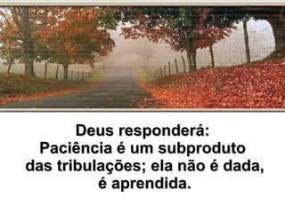 Deus responderá: Paciência é um subproduto das tribulações; ela não é dada, é aprendida. 