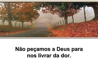 Não peçamos a Deus para nos livrar da dor.  