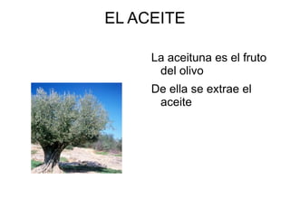 EL ACEITE ,[object Object]