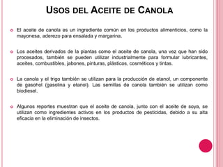 USOS DEL ACEITE DE CANOLA
 El aceite de canola es un ingrediente común en los productos alimenticios, como la
mayonesa, aderezo para ensalada y margarina.
 Los aceites derivados de la plantas como el aceite de canola, una vez que han sido
procesados, también se pueden utilizar industrialmente para formular lubricantes,
aceites, combustibles, jabones, pinturas, plásticos, cosméticos y tintas.
 La canola y el trigo también se utilizan para la producción de etanol, un componente
de gasohol (gasolina y etanol). Las semillas de canola también se utilizan como
biodiesel.
 Algunos reportes muestran que el aceite de canola, junto con el aceite de soya, se
utilizan como ingredientes activos en los productos de pesticidas, debido a su alta
eficacia en la eliminación de insectos.
 