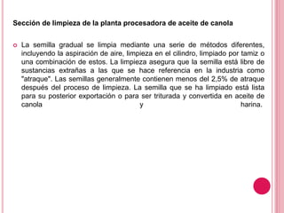 Sección de limpieza de la planta procesadora de aceite de canola
 La semilla gradual se limpia mediante una serie de métodos diferentes,
incluyendo la aspiración de aire, limpieza en el cilindro, limpiado por tamiz o
una combinación de estos. La limpieza asegura que la semilla está libre de
sustancias extrañas a las que se hace referencia en la industria como
"atraque". Las semillas generalmente contienen menos del 2,5% de atraque
después del proceso de limpieza. La semilla que se ha limpiado está lista
para su posterior exportación o para ser triturada y convertida en aceite de
canola y harina.
 