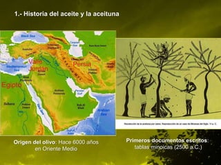 1.- Historia del aceite y la aceituna




Origen del olivo: Hace 6000 años        Primeros documentos escritos:
        en Oriente Medio                   tablas minoicas (2500 a.C.)
 