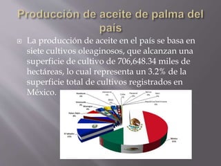  El Estado de Veracruz tiene 17 municipios
productores, de los cuales el principal en
cuanto a superficie sembrada es Mec...