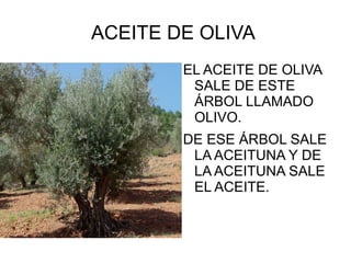 ACEITE DE OLIVA  ,[object Object]