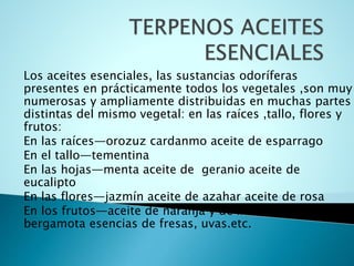Los aceites esenciales, las sustancias odoríferas
presentes en prácticamente todos los vegetales ,son muy
numerosas y ampliamente distribuidas en muchas partes
distintas del mismo vegetal: en las raíces ,tallo, flores y
frutos:
En las raíces—orozuz cardanmo aceite de esparrago
En el tallo—tementina
En las hojas—menta aceite de geranio aceite de
eucalipto
En las flores—jazmín aceite de azahar aceite de rosa
En los frutos—aceite de naranja y de limón, aceite de
bergamota esencias de fresas, uvas.etc.
 