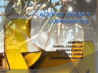 ACEITES GRASA Y LUBRICANTES. ,[object Object]