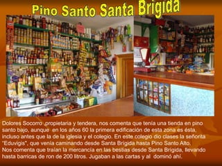 Dolores Socorro ,propietaria y tendera, nos comenta que tenía una tienda en pino
santo bajo, aunque en los años 60 la primera edificación de esta zona es ésta,
incluso antes que la de la iglesia y el colegio. En este colegio dio clases la señorita
“Eduvigis", que venía caminando desde Santa Brígida hasta Pino Santo Alto.
Nos comenta que traían la mercancía en las bestias desde Santa Brígida, llevando
hasta barricas de ron de 200 litros. Jugaban a las cartas y al dominó ahí.
 