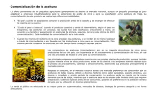 Comercialización de la aceituna
La oferta proveniente de los pequeños agricultores generalmente se destina al mercado nacional, aunque un pequeño porcentaje es para
abastecer a empresas industrializadoras para la elaboración de aceite de olivo o para su exportación como aceituna de mesa. La
comercialización de este producto se realiza bajo diferentes modalidades:
• "En pie"; cuando los acopiadores compran la producción antes de la cosecha y se encargan de efectuar
la cosecha por su cuenta
• "Cruda al peso o balanza", cuando el productor cosecha y vende al intermediario, según el peso en
kilogramos, las aceitunas sin procesar, las cuales han sido clasificadas previamente a mano, de
acuerdo a su tamaño y presentación en aceitunas de primera, segunda, tercera (esta última de difícil
comercialización). Esta modalidad de comercialización es la más usada.
• Cuando los mismos olivicultores de la zona procesan las aceitunas, y se venden en la misma localidad
a través de intermediarios o son llevadas por los productores a Lima para su comercialización. Este
sistema permite conservar las aceitunas por más tiempo hasta conseguir mejores precios.
Los compradores de aceitunas (intermediarios) son en su mayoría olivicultores de otras zonas
productoras del sur del país, con experiencia en el procesamiento y comercialización del fruto, el cual
una vez procesado es llevado a Lima para su comercialización.
Las principales empresas exportadores cuentas con sus propias plantas de producción, aunque también
acopian materia prima de otros productores, antes de la cosecha. Esta empresas además realizan todo
el proceso de procesamiento, calibraje y almacenamiento, destinando sus productos principalmente al
mercado externo.
Respecto al consumo, en el mercado nacional existe una marcada preferencia del consumidor por las
aceitunas de botija negras, debido a diversos factores como sabor agradable, aspecto atractivo, uso
diverso o inmediato y amplio período de conservación. La aceituna verde no cuenta con la misma
demanda que la de botija, mientras que la aceituna seca es de empleo más limitado dado que requiere
preparación y aderezo especial antes de ser consumido, gozando de preferencia en la población serrana
del país, por su utilización en diversos platos típicos.
La venta al público es efectuada en su mayor parte en supermercados, mercados de abastos, bodegas de primera categoría y en forma
ambulatoria.
 
