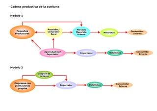 Cadena productiva de la aceituna
Acopiador/
Comprador
Rural
Mercado
Mayorista
Urbano
Minoristas
Agroindustrial/
Exportador
Importador
Pequeños
Productores
Empresas con
plantaciones
propias
Consumidor
Externo
Detallistas
Modelo 1
Consumidor
Interno
Importador
Consumidor
Externo
Detallistas
Acopian de
terceros
Modelo 2
 