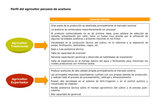 Perfil del agricultor peruano de aceituna
Agricultor
Tradicional
Características
Agricultor
Exportador
Gran parte de la producción es destinada principalmente al mercado nacional
La aceituna se comercializa mayoritariamente sin procesar
El producto comercializado no es de primera clase, pues adolece de selección de
tamaño, presentación por color, tiene un hueso muy grande por la utilización de
algunas variedades aceiteras y presenta manchas en los frutos
Variabilidad en la conducción técnico del cultivo, en lo referente a la realización de
podas, fertilización, deshierbes, riegos, etc
Baja o nula asistencia técnica
Falta de capacidad de inversión
Necesita capacitación gerencial y desarrollo de habilidades de exportación
Falta de experiencia en el manejo óptimo del agua y fertilizantes para maximizar los
niveles productivos con mínimos costos
Produce aceitunas de alta calidad dirigida principalmente al mercado externo
Las principales empresas exportadores cuentan con sus propias plantas de producción,
y realizan todo el proceso de procesamiento, calibraje y almacenamiento
Poseen alta tecnología en el sistema de ferti-irrigación y en el control químico y
mecanizado de malezas
Recibe asistencia técnica sobre el manejo agronómico del cultivo y el proceso post-
cosecha
Alta capacidad de gerencial
 