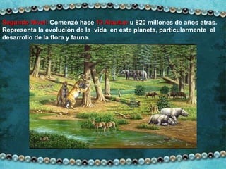 Segundo Nivel:   Comenzó hace  13 Alautun  u 820 millones de años atrás. Representa la evolución de la  vida  en este planeta, particularmente  el desarrollo de la flora y fauna. 