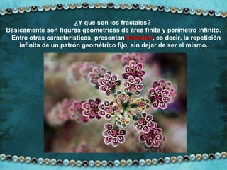 ¿Y qué son los fractales?  Básicamente son figuras geométricas de área finita y perímetro infinito. Entre otras características, presentan  Iteración , es decir, la repetición infinita de un patrón geométrico fijo, sin dejar de ser el mismo. 