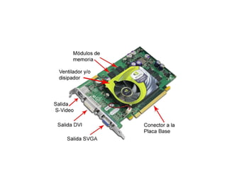 Aceleración grafica