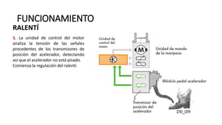 FUNCIONAMIENTO
1. La unidad de control del motor
analiza la tensión de las señales
procedentes de los transmisores de
posición del acelerador, detectando
así que el acelerador no está pisado.
Comienza la regulación del ralentí.
RALENTÍ
 