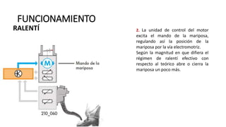 FUNCIONAMIENTO
2. La unidad de control del motor
excita el mando de la mariposa,
regulando así la posición de la
mariposa por la vía electromotriz.
Según la magnitud en que difiera el
régimen de ralentí efectivo con
respecto al teórico abre o cierra la
mariposa un poco más.
RALENTÍ
 