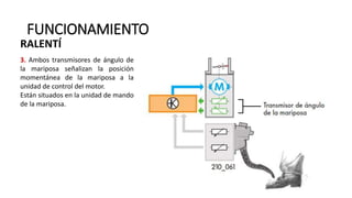 FUNCIONAMIENTO
3. Ambos transmisores de ángulo de
la mariposa señalizan la posición
momentánea de la mariposa a la
unidad de control del motor.
Están situados en la unidad de mando
de la mariposa.
RALENTÍ
 