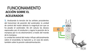 FUNCIONAMIENTO
1. Analizando la tensión de las señales procedentes
del transmisor de posición del acelerador, la unidad
de control del motor detecta la magnitud con que se
ha pisado el acelerador. De ahí calcula los deseos
expresados por el conductor y regula la posición de la
mariposa por la vía electromotriz a través del mando
de la mariposa.
La unidad de control del motor influye adicionalmente
sobre el encendido, la inyección y, en caso de existir,
también sobre la presión sobrealimentación.
ACCIÓN SOBRE EL
ACELERADOR
 
