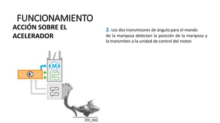 FUNCIONAMIENTO
2. Los dos transmisores de ángulo para el mando
de la mariposa detectan la posición de la mariposa y
la transmiten a la unidad de control del motor.
ACCIÓN SOBRE EL
ACELERADOR
 