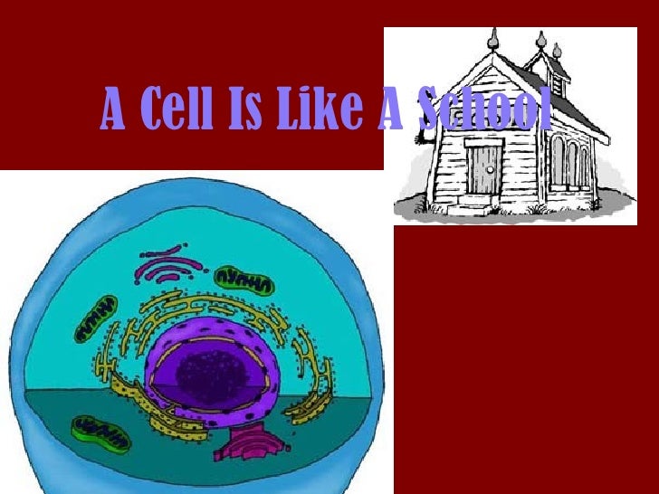 plant cell analogy essay Consists of current and archived articles, subscription information, and samples. plant cell analogy essay Consists of current and archived articles, subscription information, and samples.