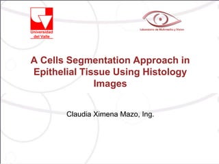 A Cells Segmentation Approach in
Epithelial Tissue Using Histology
              Images


       Claudia Ximena Mazo, Ing.
 