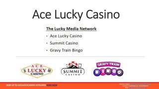 Ace Lucky Casino Affiliates Program from Lucky Media Ltd