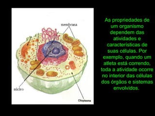 As propriedades de
um organismo
dependem das
atividades e
características de
suas células. Por
exemplo, quando um
atleta está correndo,
toda a atividade ocorre
no interior das células
dos órgãos e sistemas
envolvidos.
 
