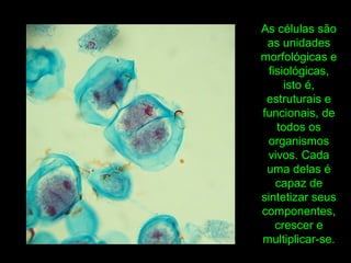 As células são
as unidades
morfológicas e
fisiológicas,
isto é,
estruturais e
funcionais, de
todos os
organismos
vivos. Cada
uma delas é
capaz de
sintetizar seus
componentes,
crescer e
multiplicar-se.
 