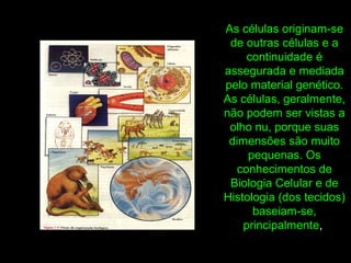 As células originam-se
de outras células e a
continuidade é
assegurada e mediada
pelo material genético.
As células, geralmente,
não podem ser vistas a
olho nu, porque suas
dimensões são muito
pequenas. Os
conhecimentos de
Biologia Celular e de
Histologia (dos tecidos)
baseiam-se,
principalmente,
 