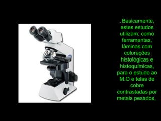 . Basicamente,
estes estudos
utilizam, como
ferramentas,
lâminas com
colorações
histológicas e
histoquímicas,
para o estudo ao
M.O e telas de
cobre
contrastadas por
metais pesados,
 