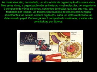 As moléculas são, na verdade, um dos níveis de organização dos seres vivos.
Nos seres vivos, a organização não se limita ao nível molecular: um organismo
é composto de vários sistemas, conjuntos de órgãos que, por sua vez, são
formados por tecidos. Os tecidos são reuniões de células com funções
semelhantes; as células contêm orgânulos, cada um deles realizando um
determinado papel. Cada orgânulo é composto de moléculas, e estas são
constituídas por átomos.
 