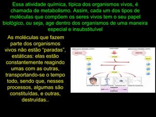 As moléculas que fazem
parte dos organismos
vivos não estão “paradas”,
estáticas: elas estão
constantemente reagindo
umas com as outras,
transportando-se o tempo
todo, sendo que, nesses
processos, algumas são
constituídas, e outras,
destruídas..
Essa atividade química, típica dos organismos vivos, é
chamada de metabolismo. Assim, cada um dos tipos de
moléculas que compõem os seres vivos tem o seu papel
biológico, ou seja, age dentro dos organismos de uma maneira
especial e insubstituível
 