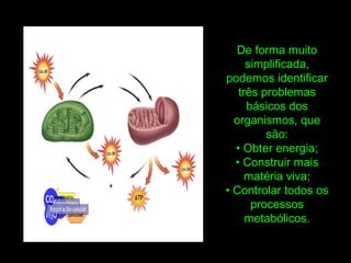 De forma muito
simplificada,
podemos identificar
três problemas
básicos dos
organismos, que
são:
• Obter energia;
• Construir mais
matéria viva;
• Controlar todos os
processos
metabólicos.
 