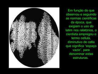 Em função do que
observou e seguindo
as normas científicas
da época, que
exigiam o uso do
latim nos relatórios, o
cientista empregou o
termo cellula,
diminutivo de cella
que significa “espaço
vazio”, para
denominar estas
estruturas.
 