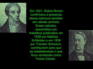 Em 1831, Robert Brown
confirmava a presença
dessa estrutura também
em células animais.
Esses estudos,
associados aos
trabalhos publicados em
1838 por Mathias
Schleiden e em 1839
por Theodor Schwann,
contribuíram para que
se estabelecesse o que
ficou conhecido como
Teoria Celular.
 