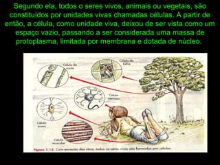 Segundo ela, todos o seres vivos, animais ou vegetais, são
constituídos por unidades vivas chamadas células. A partir de
então, a célula, como unidade viva, deixou de ser vista como um
espaço vazio, passando a ser considerada uma massa de
protoplasma, limitada por membrana e dotada de núcleo.
 