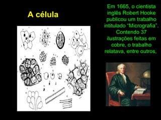 Em 1665, o cientista
inglês Robert Hooke
publicou um trabalho
intitulado “Micrografia”.
Contendo 37
ilustrações feitas em
cobre, o trabalho
relatava, entre outros,
A célula
 