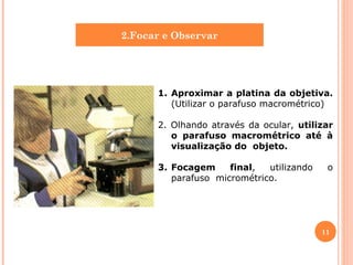 2.Focar e Observar

1. Aproximar a platina da objetiva.
(Utilizar o parafuso macrométrico)
2. Olhando através da ocular, utilizar
o parafuso macrométrico até à
visualização do objeto.
3. Focagem
final,
utilizando
parafuso micrométrico.

o

11

 